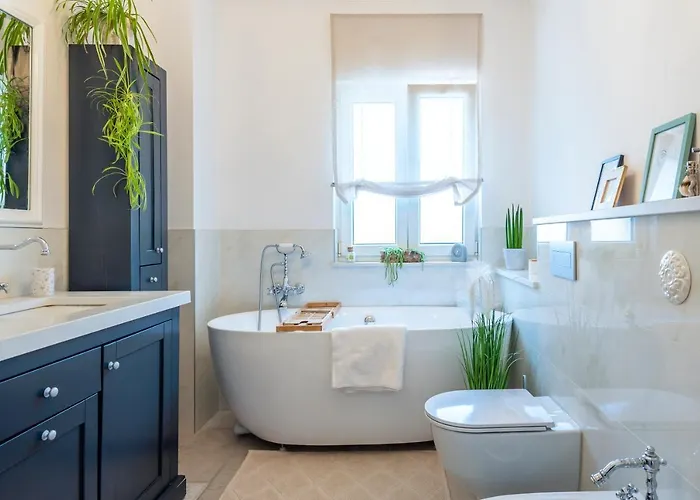 Niente Da Fare Шибеник